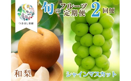 【定期便：全２回】旬のフルーツ定期便（和梨、シャインマスカット）　0140-2602