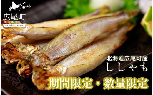 【期間限定価格・数量限定】岡嶋水産　生乾ししゃも中メス30尾(C0041)
