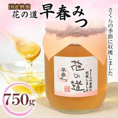 ふるさと納税 八女市 早春みつ　750g