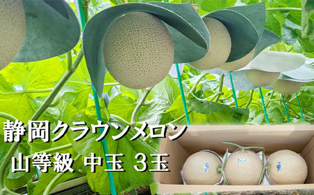 クラウンメロン 山等級 マスクメロン 青肉 クラウンメロン【中玉 1.3kg前後 3玉】