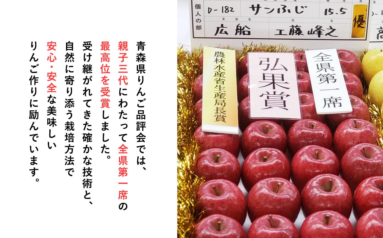 【1月発送】 親子三代最高位のサンふじ 約3kg【全国ふじコンテスト最高賞受賞農園・平川市広船産りんご】