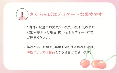 先行予約 さくらんぼ 紅秀峰 秀2Lサイズ 700g (350gx2パック) バラ詰め化粧箱 2024年産 (令和6年産 さくらんぼ 山形県産 さくらんぼ 先行予約 さくらんぼ サクランボ ns-bs