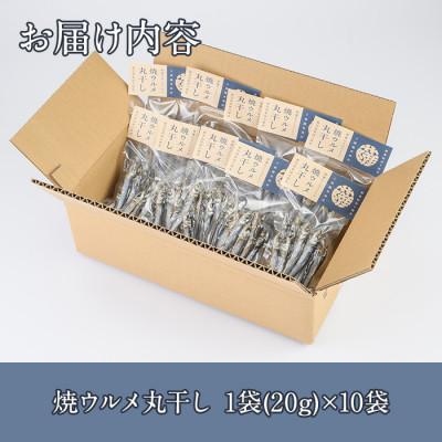 ふるさと納税 阿久根市 焼ウルメ丸干し10袋セット(20g×10袋)【下園薩男商店】a-16-38 |  | 03