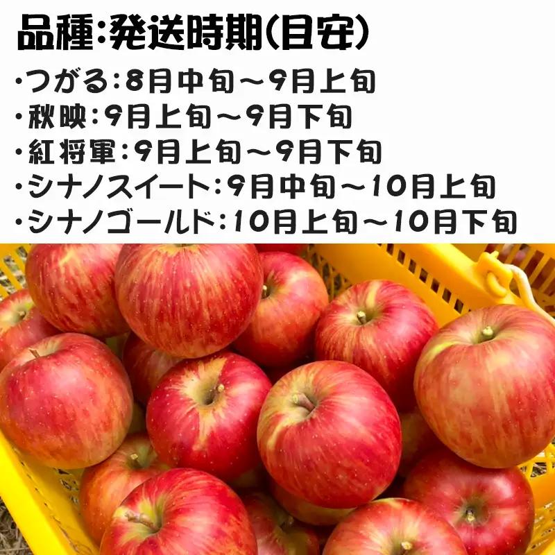 『先行予約』【令和8年8月中旬発送】厳選 九州旬のりんご 3キロ箱(8～12玉入) 九州 リンゴ 林檎 フルーツ 果物 つるが 秋映 紅将軍 シナノスイート シナノゴールド 3kg
