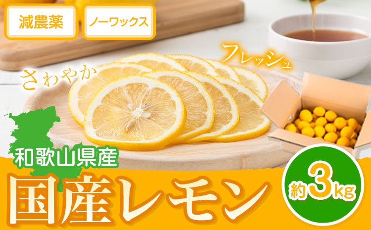 レモン 国産 レモン 3kg(L～4Lサイズ) ノーワックス 減農薬 どの坂果樹園《2027年2月上旬-5月末頃出荷》 和歌山県 日高町 レモン れもん 檸檬 旬 果物 フルーツ 柑橘 産地直送 送料無料---wsh_dsk3_ac25_24_10000_3kg---
