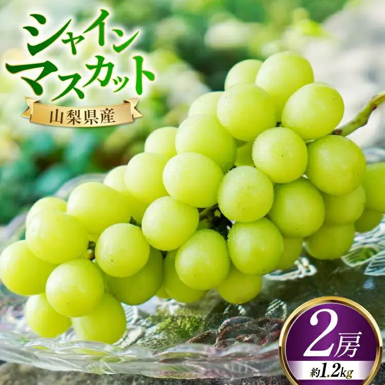 【期間限定発送】 シャインマスカット 予約 2房 約1.2kg 産直 ぶどう