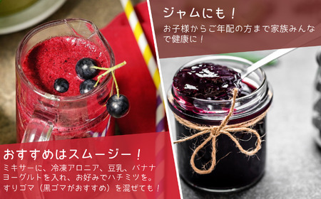 アロニア（ブラックベリー）1kg　008051