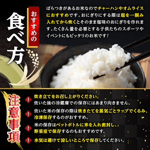 i673 ＜訳あり・数量限定＞出水産ブレンド米(10kg) 米 お米 10kg 訳アリ 不揃い ブレンド米 チャーハン オムライス 数量限定 【田上商店】