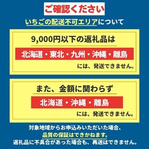 【2月発送】いちご とちおとめ・とちあいか 食べ比べ 500g