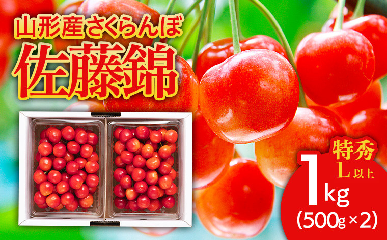 
            さくらんぼ 佐藤錦1kg(500g×2) 特秀 L以上 バラ詰め 【令和8年産先行予約】FS25-508 くだもの 果物 フルーツ 山形 山形県 山形市 2026年産
          