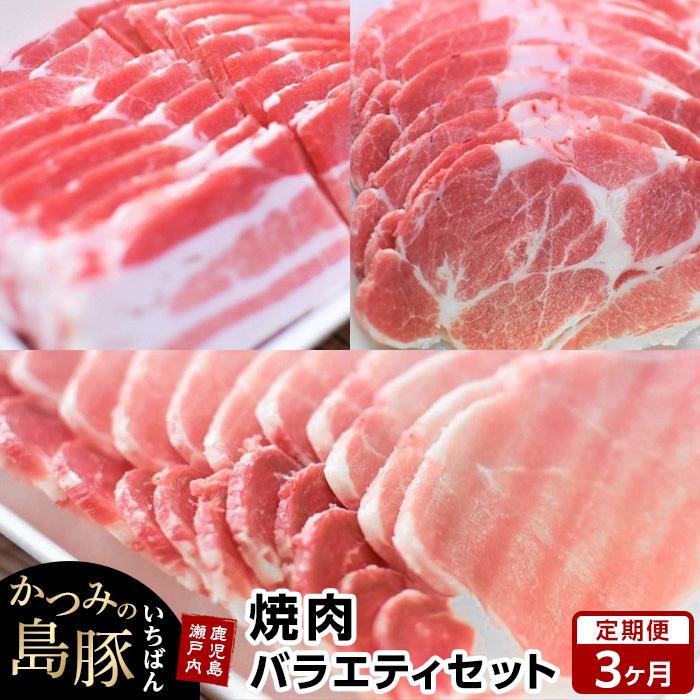 【ふるさと納税】【定期便3か月】かつみの島豚いちばん焼肉バラエティセット 750g（250g×3パック） | 瀬戸内 瀬戸内町 奄美 奄美大島 鹿児島 鹿児島県 九州 お取り寄せ 肉 豚肉 豚 焼肉 焼き肉 定期便 ご当地 取り寄せ 送料無料