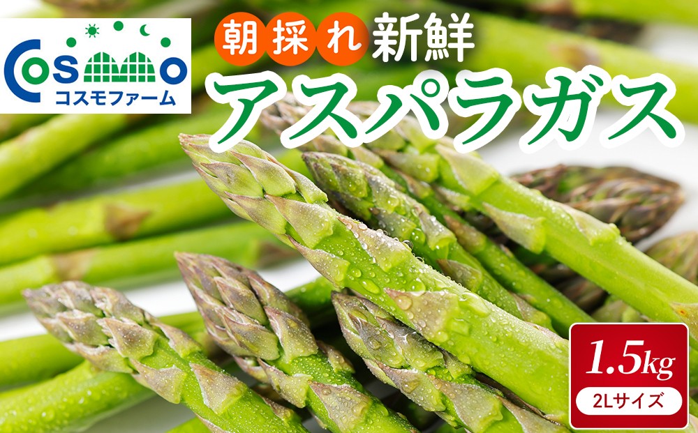 
                  朝採り新鮮アスパラガス 1.5kg【2Lサイズ】 | 野菜 アスパラガス グリーンアスパラ 旬 とれたて  春野菜 春 朝採り 朝採れ とれたて 新鮮 みずみずしい サラダ 甘い お取り寄せ 産地直送 冷蔵 岐阜県 瑞穂市
                