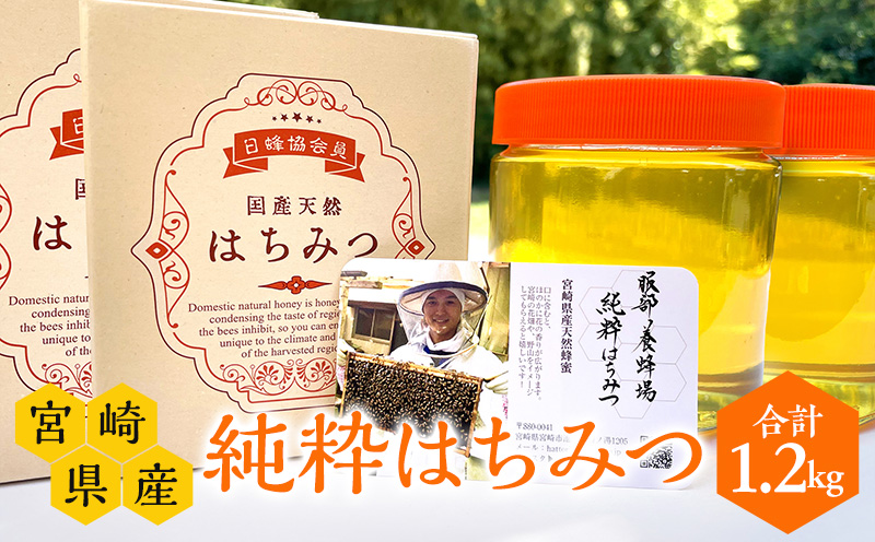 宮崎県産純粋はちみつ(600g×2本) 国産 宮崎県産 はちみつ ハチミツ 蜂蜜 ハニー 贈答 贈り物 贈答用 ギフト プレゼント お祝い 調味料 グルメ お取り寄せ 取り寄せ 人気 おすすめ
