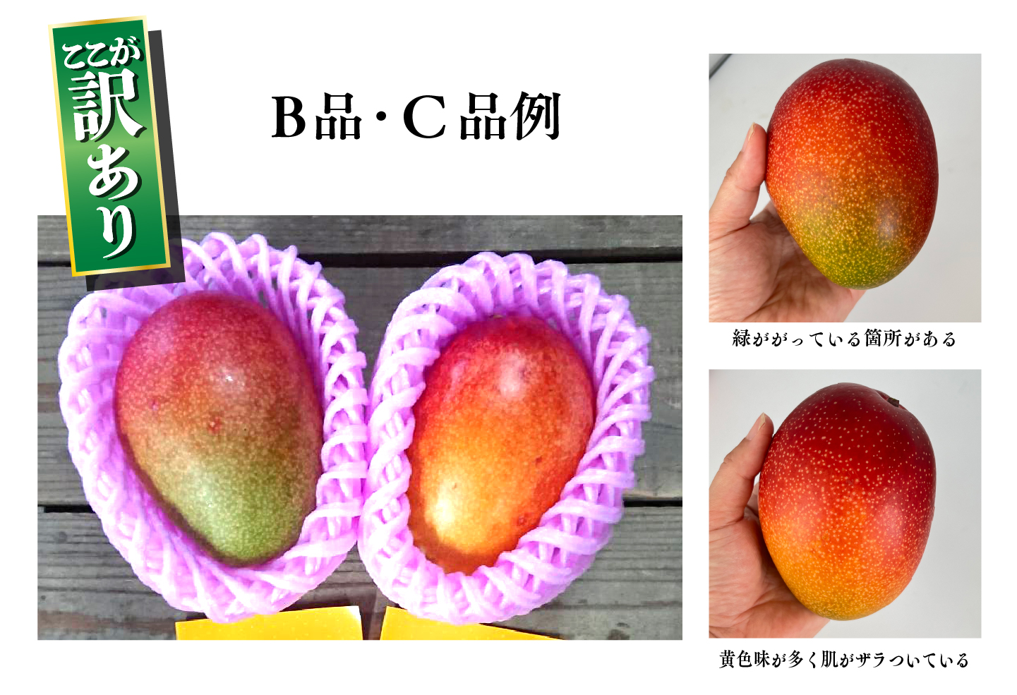 【訳あり】完熟マンゴー ２L～３L×５玉（パック）【濃厚 高級 宮崎 果物 フルーツ 贈答 ギフト 甘い 先行受付 送料無料】