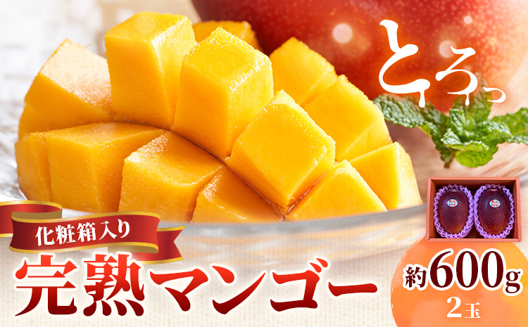 鹿児島県産 完熟マンゴー 化粧箱入り 約600g 祝迫果樹園《6月中旬-7月中旬頃出荷》鹿児島県 さつま町 マンゴー 果実 果物 くだもの フルーツ 果肉 果汁 高級 ご褒美 贅沢 グルメ---stm-iws-2-600g---