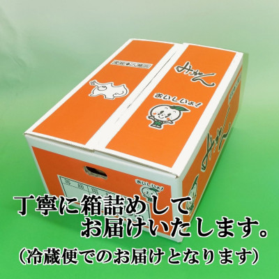 濃厚!やまご農園の「あけぼの小玉」約6kg【C39−21】【配送不可地域：離島・北海道・沖縄県】【1148837】