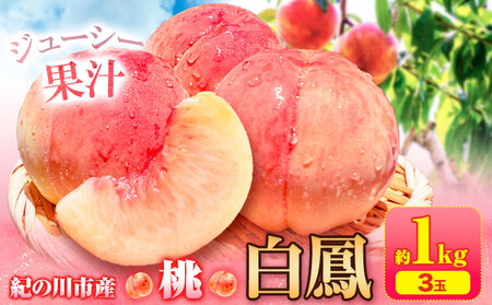 【先行予約】桃 白鳳 紀の川市産 約1kg(3玉入り)  紀農人株式会社《2026年6月末-8月末頃出荷》和歌山県 紀の川市 果物 フルーツ 桃 もも モモ 旬