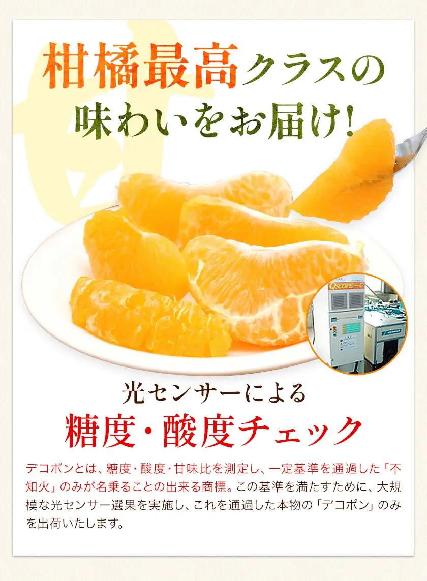 デコポン 先行予約 訳あり 5kg デコポン