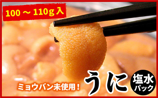 C-07021 エゾバフンウニ(黄色)塩水パック100～110g×1P[2026年1月下旬以降発送]