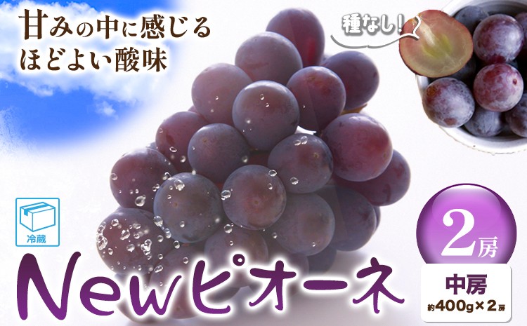 
            ぶどう New ピオーネ中房2房(約400g×2房) ふじまる《8月下旬-9月下旬頃出荷》岡山県 笠岡市 送料無料 葡萄 フルーツ 果物 ニューピオーネ お取り寄せフルーツ
          