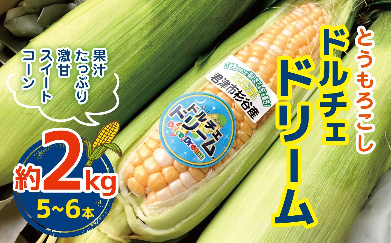 
            【6月中旬～順次発送】とうもろこし ドルチェドリーム  約2㎏（5～6本） | 野菜 甘い とうもろこし スイートコーン コーン トウモロコシ 鈴木アル・ファーム  新鮮 朝採り 千葉 君津 きみつ
          