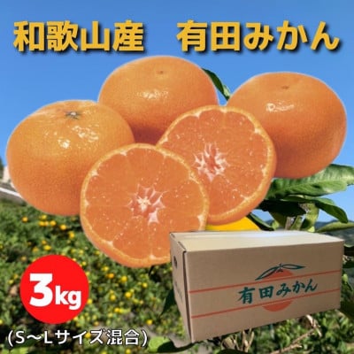 和歌山県産　有田みかん　3kg　秀品【1309705】