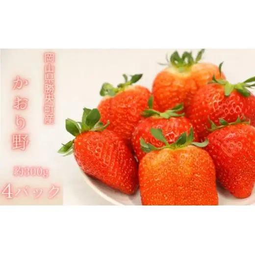 岡山県 勝央町産 いちご かおり野 約1.2kg(約300g×4パック) _A35