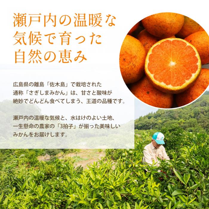 みかん 柑橘【先行受付】【2025年12月以降発送】糖度が高く濃厚！ 石地みかん ＜約2.5kg＞ 広島 三原 佐木島 鷺島みかんじま 017041