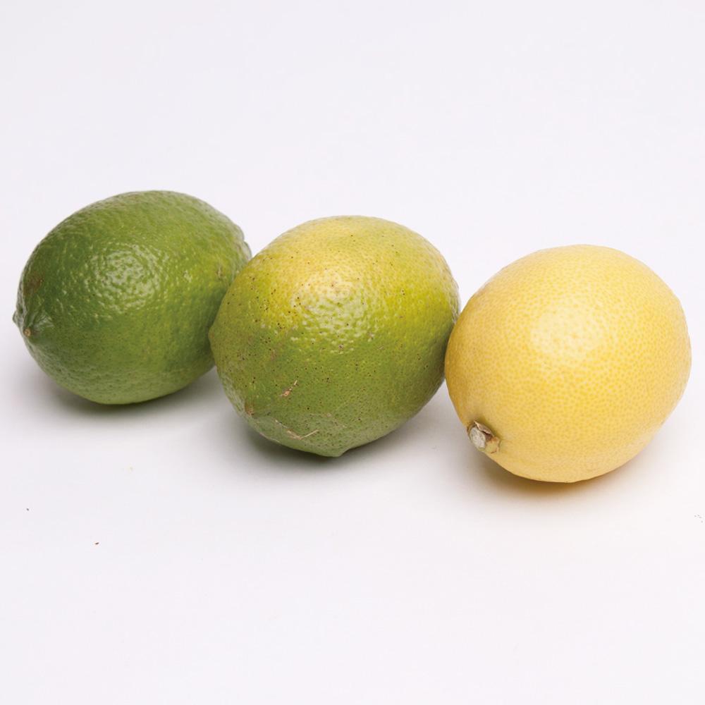 家庭用 レモン5kg+250g（傷み補償分）【和歌山有田産】【防腐剤・WAX不使用、安心の国産レモン】【わけあり・訳ありレモン】［IKE126］