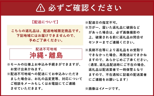 [ 定期1ヶ月毎5回 ] 会津ブランド馬刺し ( モモ 100g × 2 個 ) 自家製万能しょうゆ付き 馬刺し 馬肉 馬 お肉 肉 ニク にく ヘルシー 高タンパク 低カロリー 赤身 刺身 真空パッ