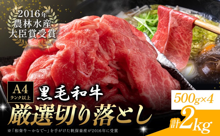 
            厳選 くまもと黒毛和牛 切り落とし 2kg ( 1パック 500g ) 《45日以内に出荷予定(土日祝除く)》熊本県 大津町 和牛焼肉LIEBE くまもと黒毛和牛 切り落とし 冷凍 リーベ
          