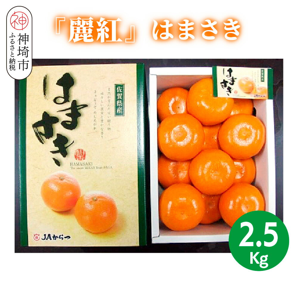 【ふるさと納税】【2026年2月上旬より発送開始】【麗紅】はまさき 2.5kg【みかん 一級品 柑橘 フルーツ デザート】(H116144)