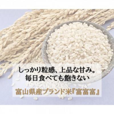 ふるさと納税 小矢部市 令和8年産 富山県産 「富富富」 玄米 30kg |  | 01