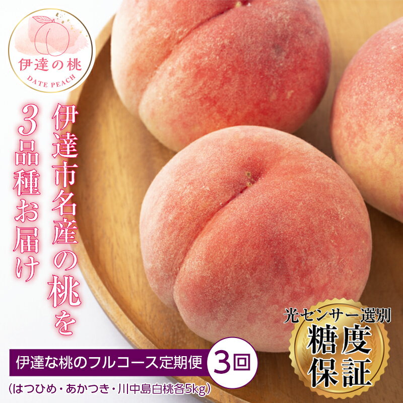 【ふるさと納税】【2026年出荷分先行予約】福島県産 伊達な桃のフルコース定期便 全3回 ふくしま未来農業協同組合 はつひめ あかつき 川中島白桃 各約5kg 特秀 白桃 伊達の桃 桃 フルーツ 果物 もも モモ momo F20C-287