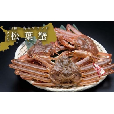 【活き】タグ付き松葉ガニ　中2枚(500～640g前後/枚)
