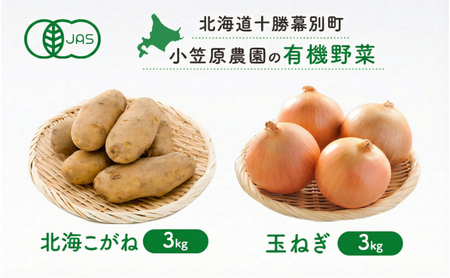 先行予約 有機野菜 2種セット 6kg 北海こがね 玉ねぎ