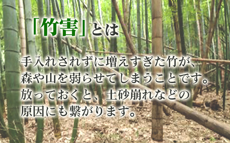 純国産島本メンマ（ごま油香るピリ辛中華味 うす味）500g ／ めんま たけのこ 筍 おつまみ 惣菜 国産 幼竹 ピリ辛 ご飯のお供 お取り寄せ グルメ ご当地 名物 特産 大阪府 No.189