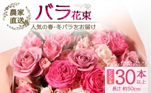 
            【人気の春・冬ばらをお届け】ばら農家直送！ばら花束30本以上お届け(ピンク系) 【ギフト対応可】│花 フラワー 花束 ばら 薔薇 バラ 誕生日 記念日 結婚祝い ギフト プレゼント お祝い 贈り物 贈答 鹿児島県 南大隅町 富田バラ園 TB-14
          