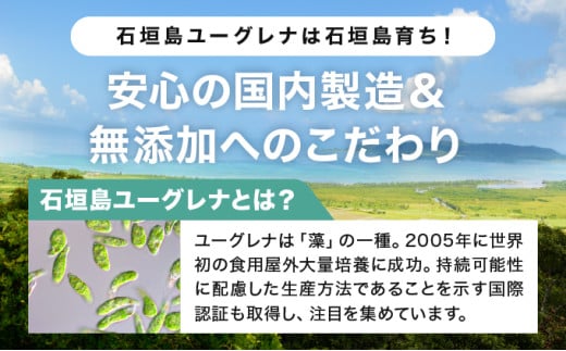からだにユーグレナ グリーンパウダー乳酸菌 YG-6-1