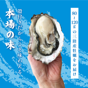 生食可 冷凍牡蠣 24個 殻付き牡蠣