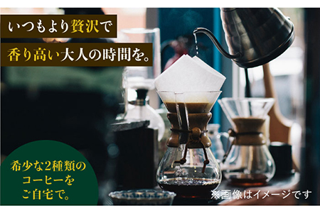 【6回定期便】ジャコウネココーヒー100g&ウイスキー樽熟成コーヒーセット100g≪粉タイプ≫ 吉野ヶ里町/ラオジャパン合同会社 [FBR051]
