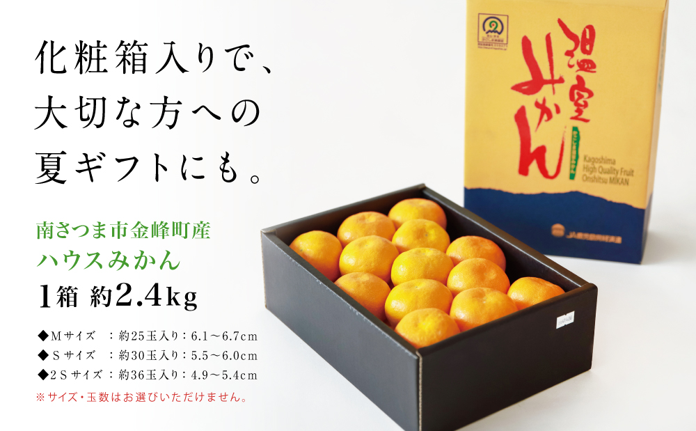 【先行受付：7月～8月発送】鹿児島県産 ハウスみかん 約2.4kg（化粧箱入り） 果物 フルーツ 柑橘 旬 みかん ハウスミカン JAさつま日置 南さつま市