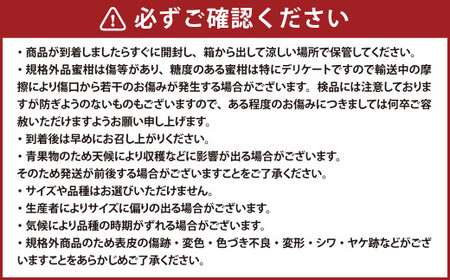 【規格外品】熊本市産 完熟 蜜柑 ご家庭用 12kg【2024年9月上旬～2025年1月下旬発送予定】 みかん ミカン