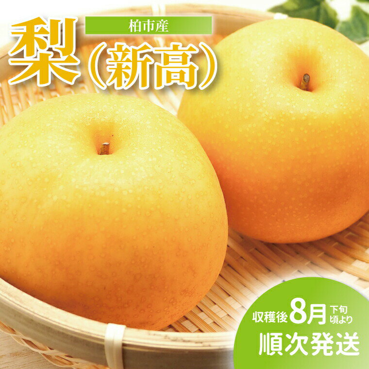 【ふるさと納税】【オンライン決済限定】柏市産 梨（新高） 5kg 〈先行予約 2026年8月下旬順次発送〉 フルーツ 果物 なし 旬 国産 産地直送 千葉県産 新鮮 デザート 【配達不可：沖縄、離島】　お届け：2026年10月1日～10月31日まで