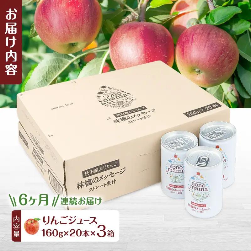 《 定期便 6ヵ月 》 りんごジュース「sonomama」（160g×20本）×3箱 りんご リンゴ ジュース リンゴジュース 飲料