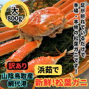 【ふるさと納税】【訳あり】浜茹で！松葉ガニ（大）800g 鳥取網代港【さかなや新鮮組】｜鳥取県 岩美町 蟹 かに カニ 松葉がに ズワイガニ ボイル 冷蔵【22021】