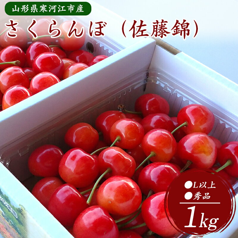 【ふるさと納税】 さくらんぼ「 佐藤錦 」1kg 秀品 Lサイズ以上 （500g×2）【2025年6月上旬頃〜下旬頃発送予定】山形県産 ／桜桃 お取り寄せ フルーツ 果物 高レビュー サクランボ 特産 産地 直送 高級 季節 人気 山形 2025年産 令和7年産 1キロ