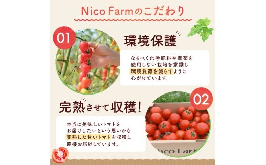 【定期便全12回】NicoFarm トマトジュース 1L×2本×12回_Y124-0036