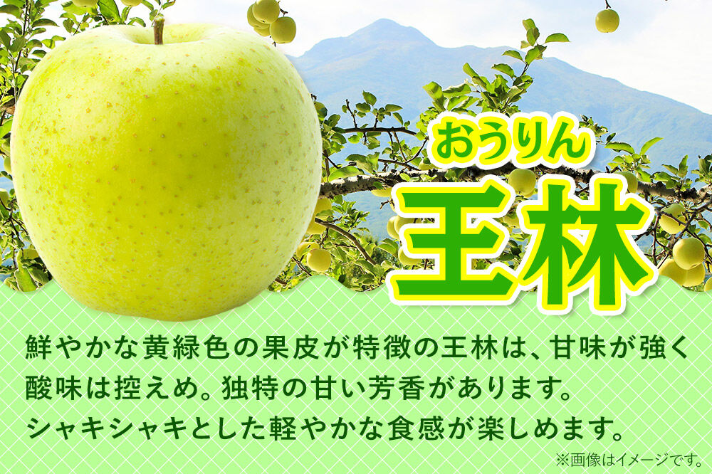【27年1月発送】りんご 贈答用 サンふじ・王林 詰め合わせ 約5kg [アップル おいしい お歳暮 お中元 ギフト ふじ プレゼント りんご 王林 黄色 果実 果物 詰め合わせ 詰合 赤色 贈り物 