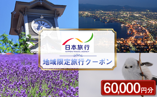 北海道 日本旅行 地域限定旅行クーポン 60,000円分 チケット 旅行 宿泊券 ホテル 観光 旅行 旅行券 宿泊 夏休み 冬休み F6S-141